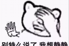 恒山恒山的要账公司在催收过程中的策略和技巧有哪些？